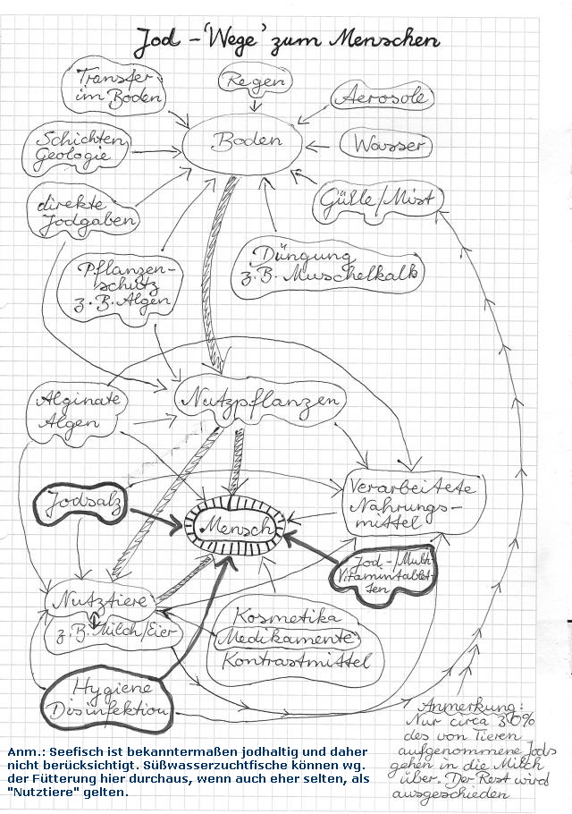 Anm.: Seefisch ist bekanntermaen jodhaltig und daher
  nicht bercksichtigt. Swasserzuchtfische knnen wg.
  der Ftterung hier durchaus, wenn auch eher selten, als 
  